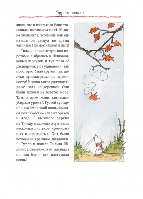 Тильда Яблочное Семечко. Чудесные истории из переулка, где растёт шиповник